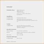 Business Lebenslauf Vorlage Inspiration Führerschein Vorlage Word Hübsch Lebenslauf 2016 Muster