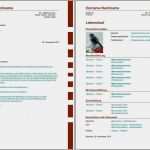 Business Lebenslauf Vorlage Schön Ausgezeichnet Lebenslauf Vorlage Biz Ausgezeichnet