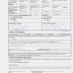 Business Review Vorlage Erstaunlich attractive Supplier Quarterly Business Review Template