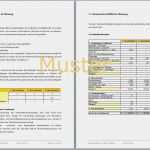 Businessplan Für Bank Vorlage Inspiration Büroservice Businessplan Vorlage
