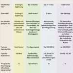 Businessplan Gmbh Vorlage Erstaunlich Businessplan Erstellen Lassen Kosten Und Dauer