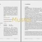 Businessplan Kfw Vorlage Genial Businessplan Gmbh Vorlage Großartig Autovermietung