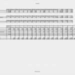 Businessplan Pflegedienst Vorlage Cool Finanzplan Vorlage Für Businessplan Excel Kostenlos