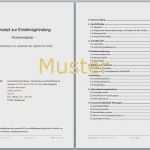 Businessplan Pflegedienst Vorlage Großartig 61 Erstaunlich Businessplan Pflege Nst Vorlage Bilder