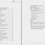 Businessplan Vorlage App Entwicklung Elegant Business Plan Berater Trainer Coach