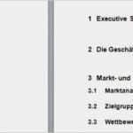 Businessplan Vorlage Download Erstaunlich Businessplan Word Vorlage
