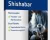 Businessplan Vorlage Download Großartig Businessplan Shisha Bar