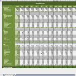 Businessplan Vorlage Download Süß Haushaltsbuch