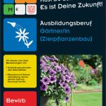 Businessplan Vorlage Gartenbau Fabelhaft Muster Inklusive Deckblatt Bewerbungsschreiben Und