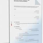 Businessplan Vorlage Schweiz Best Of Ehevertrag Verzicht Auf Nachehelichen Unterhalt Muster