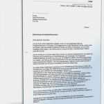 Businessplan Vorlage Schweiz Luxus 15 Eintrittstermin Bewerbung