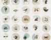 Buttons Vorlagen Ausdrucken Best Of Les 9 Meilleures Images Du Tableau Xoomy Sur Pinterest