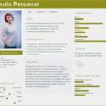 Buyer Persona Vorlage Erstaunlich Zielgruppenanalyse Im Line Marketing