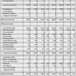 Bwa Kleinunternehmer Vorlage Angenehm Betriebswirtschaftliche Auswertung Erklärungen