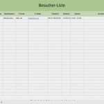 Bwa Vorlage Freiberufler Best Of Bwa Vorlage Excel