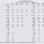 Bwa Vorlage Freiberufler Luxus 15 Bwa Erstellen Vorlage