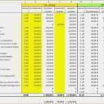 Bwa Vorlage Freiberufler Luxus Bwa Vorlage Excel Inspirierend Liquiditätsplanung Beispiel