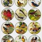 Cabochon Vorlagen Kaufen Wunderbar Imprimolandia Vintage Decoupage