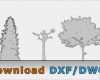 Cad Vorlagen Architektur Hübsch Free Tree Drawing – Architektur Cad Baum Symbol Dwg Dxf