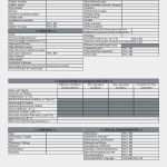 Cash Flow Berechnung Excel Vorlage Neu Xl Spreadsheet Lovely Excel Cash Flow Template Schon Rate