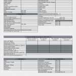 Cash Flow Excel Vorlage Angenehm Pletely New Fund Flow Statement format Bs31