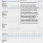 Cash Flow Excel Vorlage Kostenlos Wunderbar 15 Cash Flow Vorlage