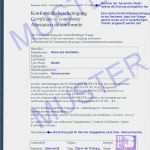 Ce Konformitätserklärung Vorlage Angenehm Waagen