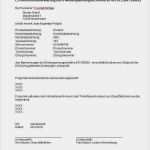 Ce Konformitätserklärung Vorlage Erstaunlich Ce Konformitätserklärung Vorlage Fabelhaft