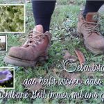 Christliche Geburtstagswünsche Vorlage Cool Geburtstag