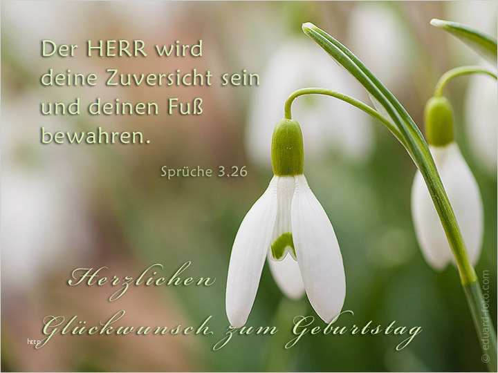 33 Erstaunlich Christliche Geburtstagswünsche Vorlage ...