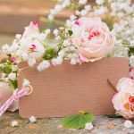 Christliche Geburtstagswünsche Vorlage Hübsch Hintergrundbilder Rosen Blumen Vorlage Grußkarte