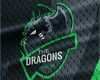 Clan Logo Vorlagen Kostenlos Schön Clan Logo Dragon Clan Logo Template Gaming Logo Maker