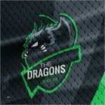 Clan Logo Vorlagen Kostenlos Schön Clan Logo Dragon Clan Logo Template Gaming Logo Maker