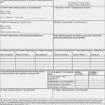 Cmr Frachtbrief Vorlage Einzigartig Cmr Transport Document Called Carriage Letter or Cmr