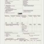 Cmr Frachtbrief Vorlage Fabelhaft Cmr Frachtbrief Vorlage Pdf Wunderbar Großzügig Cmr