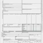 Cmr Frachtbrief Vorlage Pdf Genial atemberaubend Cmr Vorlage Ideen Beispiel Wiederaufnahme Vorlagen Sammlung Fxautofo