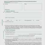 Cmr Vorlage Pdf Schön Fantastisch Cmr Vorlage Fotos Beispiel Anschreiben Für