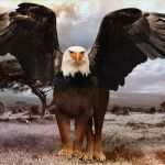 Collage Erstellen Vorlage Fabelhaft Shop Collage Erstellen Am Beispiel Fabelwesen Greif