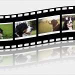 Collage Erstellen Vorlage Luxus Streifen Collage Erstellen