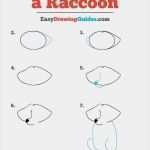 Comicfiguren Zeichnen Vorlagen Gut How to Draw A Raccoon Really Easy Drawing Tutorial
