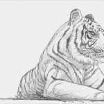 Comicfiguren Zeichnen Vorlagen Luxus Einen Tiger Zeichnen Lernen