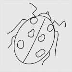 Cookie Hinweis Vorlage Erstaunlich Kleeblatt Vorlage Ausdrucken Good with Kleeblatt Vorlage