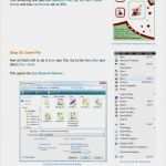 Corel Draw Vorlagen Flyer Erstaunlich Corel Draw Beginner Tutorial How to Make A New Product Flyer