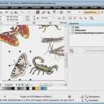 Corel Draw Vorlagen Flyer Großartig Crack for Coreldraw Graphics Suite X6 [win Xp Vista 7 8