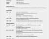 Cv In English Vorlage Cool Lebenslauf Auf Englisch Inkl Muster