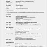 Cv In English Vorlage Cool Lebenslauf Auf Englisch Inkl Muster