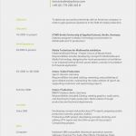 Cv In English Vorlage Elegant Anschreiben Bewerbung Englisch Coverletter Example Cv Muster