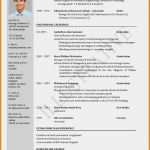 Cv In English Vorlage Erstaunlich Ideal Englischer Lebenslauf Word Lebenslauf Englisch