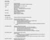 Cv In English Vorlage Fabelhaft "resume" "curriculum Vitae" Oder Stinknormaler Lebenslauf