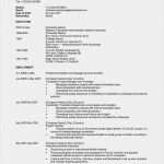 Cv In English Vorlage Fabelhaft &quot;resume&quot; &quot;curriculum Vitae&quot; Oder Stinknormaler Lebenslauf